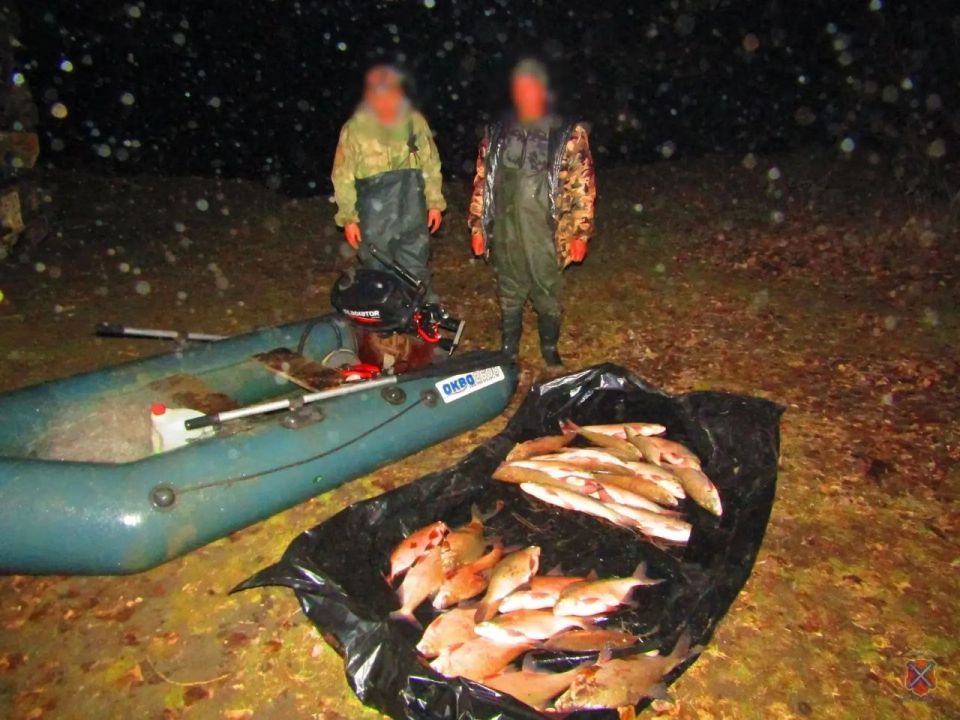 ����� ����������� ��������� � ����������� ������