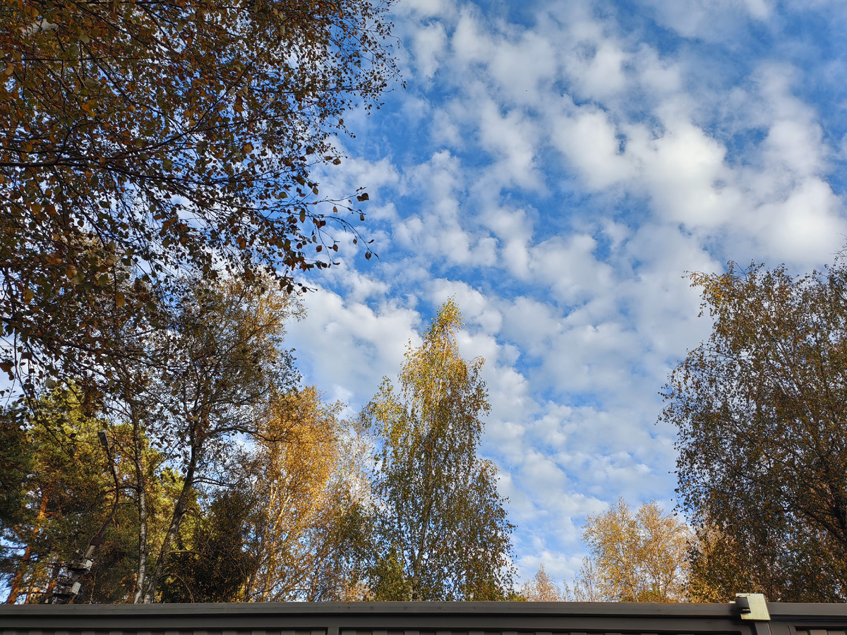 Проблемы с негативом: взгляд на мир сквозь призму пессимизма