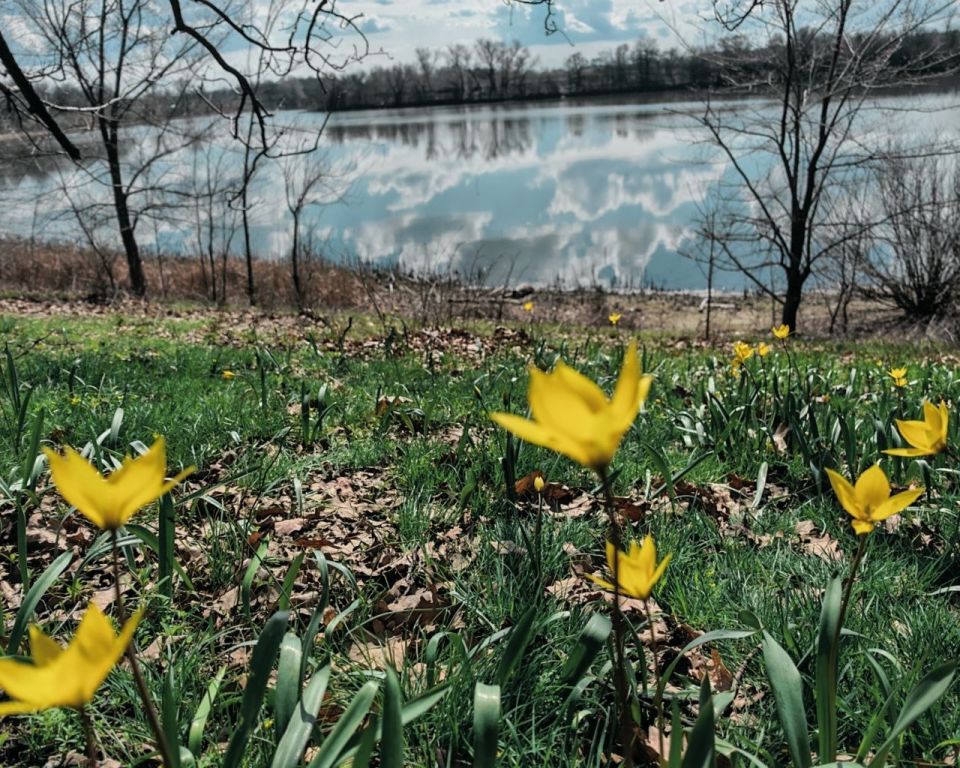 ������������, ������� ������ �� ���������� �� �������� �������� �����������, ����� �� ������������ � ������