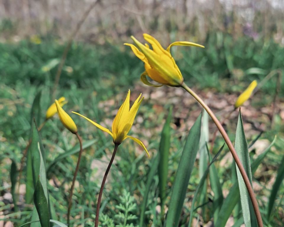 � ��� 2025 ���� ������������ ���� 12 �������� ���� � ����� 19 �������