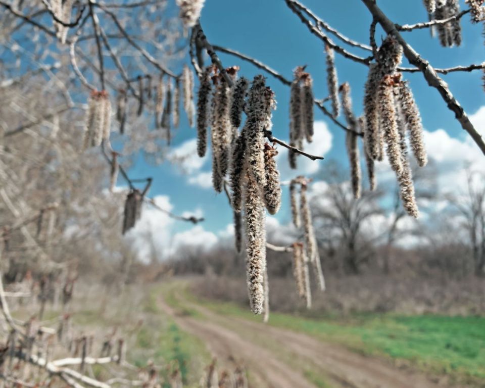 8 ������ ������������ �������� ����� ��������� �������� - ���� ������, ��� ������ ���� ����� ������ ����� � �������� ������