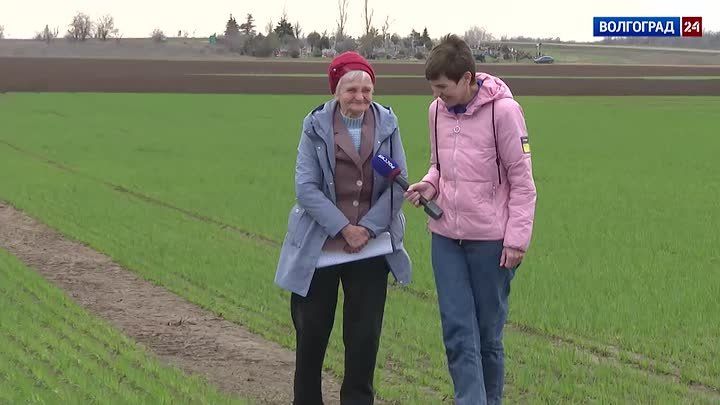 ����������� ������������� ����������� �������� ������ ��������� 80-������ ������