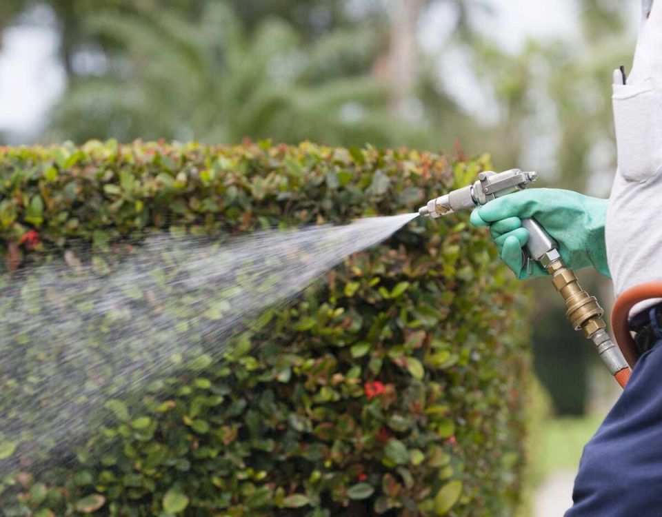 ��������� ��� ������������� �����������: ��� ����� �����