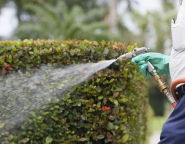 ��������� ��� ������������� �����������: ��� ����� �����