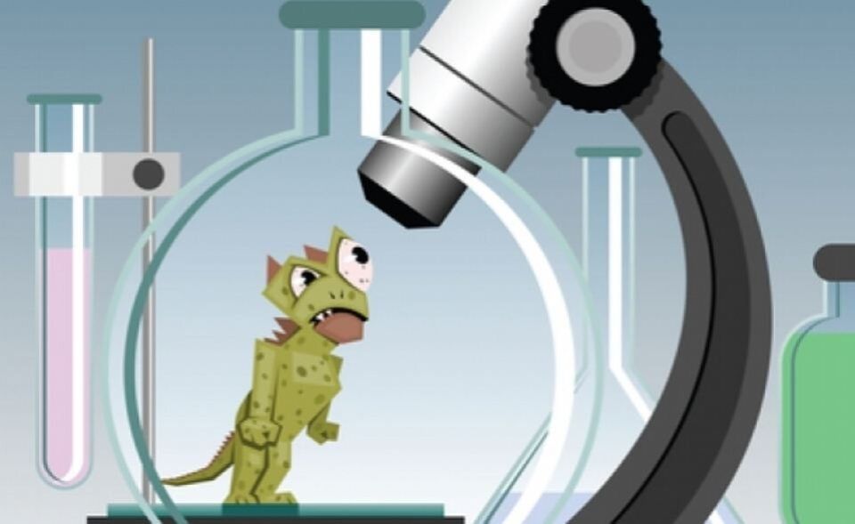 ��� ���� ��������� ������������� ����� �������� ��������: ����� �������������� ���������