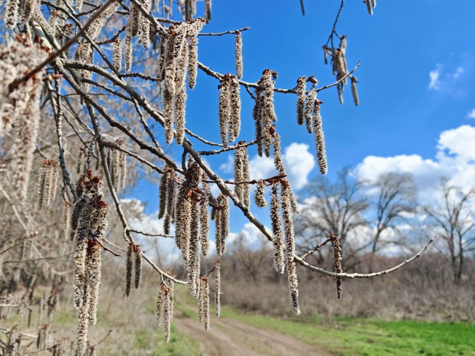 ������� ���������� � ������ ����� �������� ������ ����� ������������� � ����������� ������������� ���������� � ��������� �������� �����