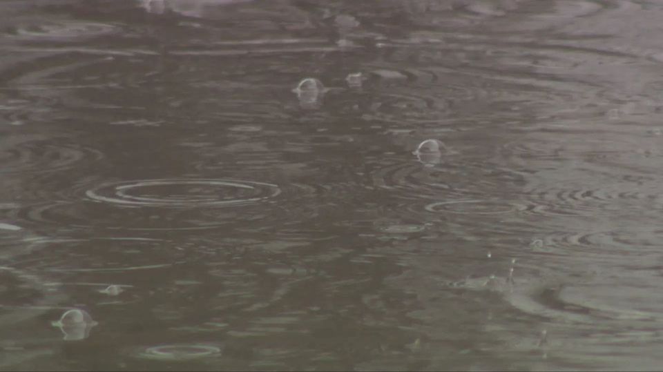 ������� ����� � ����� ����������� �� ������������� �������