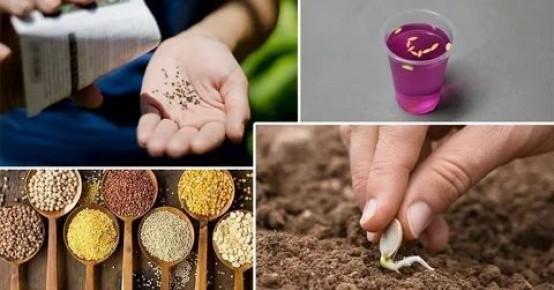 ��� ������ ����������� ������ � ��������� ������: ���� �������� �������