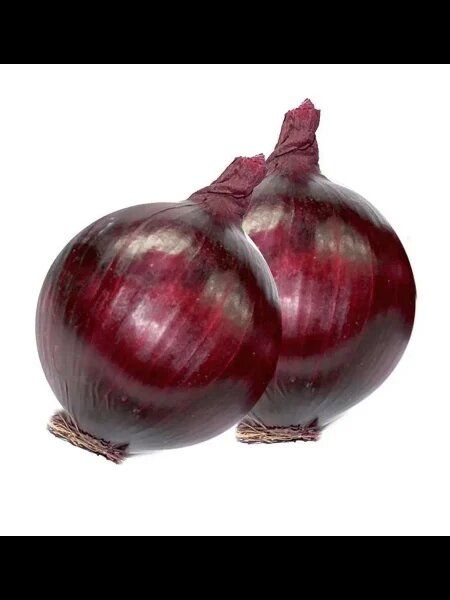 ��� '��������': ��������� ������� ���� � ��������������� ������