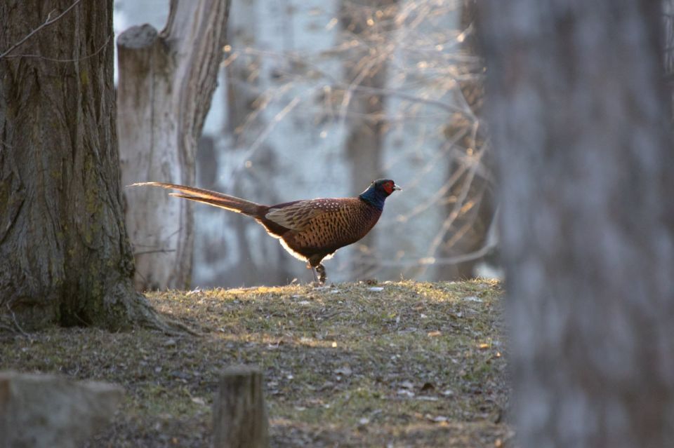 ����� �������� ���������� �� ������ ����������