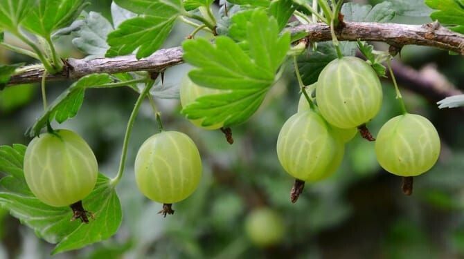 ���������� ������� ���� �� �����������: ��� �������� ������� ������ � ��������� ����