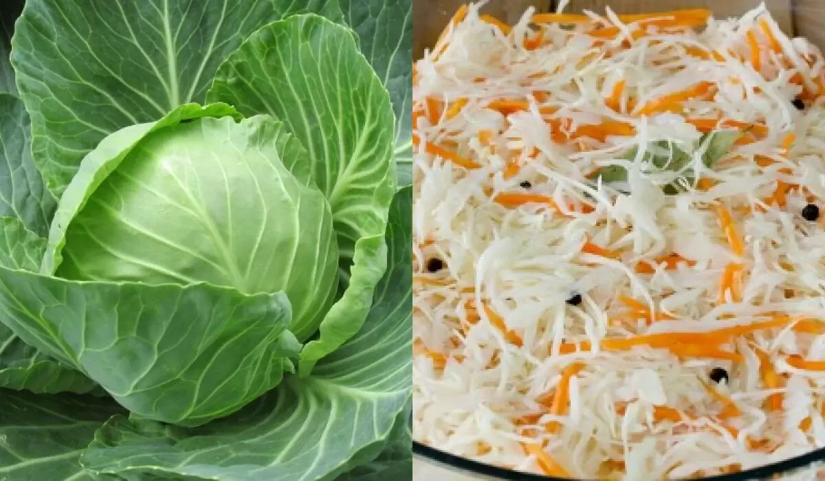 Спасите свою квашеную капусту: как избавиться от горечи и слизи