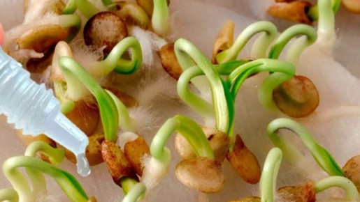 ��� �������� 90% ��������� ����� �� 5 ����: ������� ��� ��������