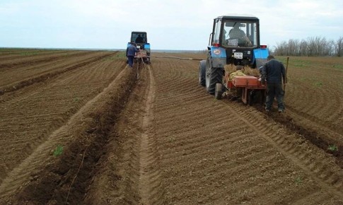 Новый лесной питомник появится в Волгоградской области