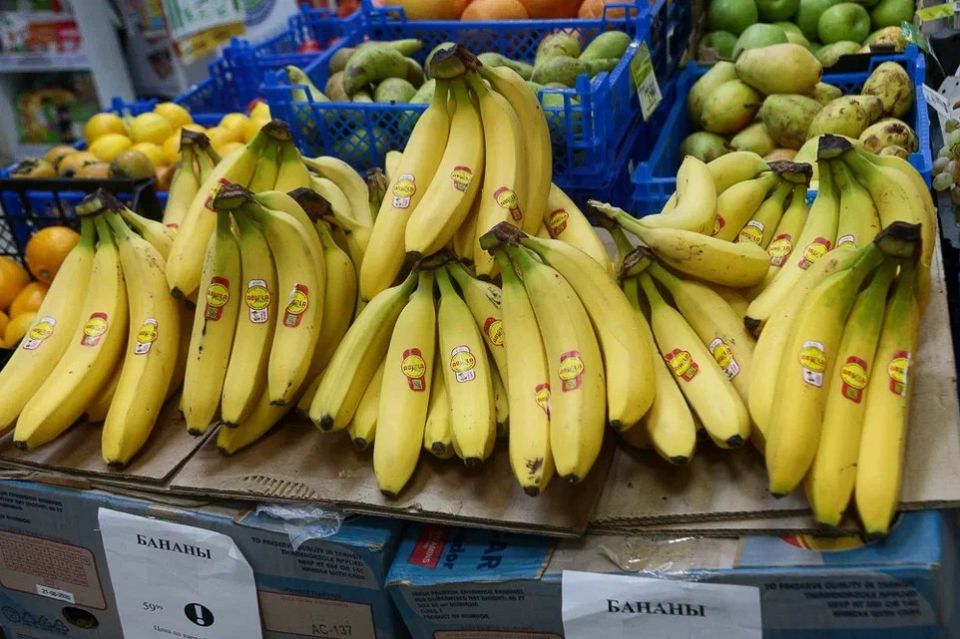 ����������� �������������� � 31 ����� �� 6 ������ �������� ���� ������� ���������� ��� � ��������� ����������