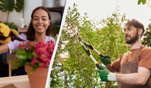 ������ �� ��� �������� �������� ������ �������