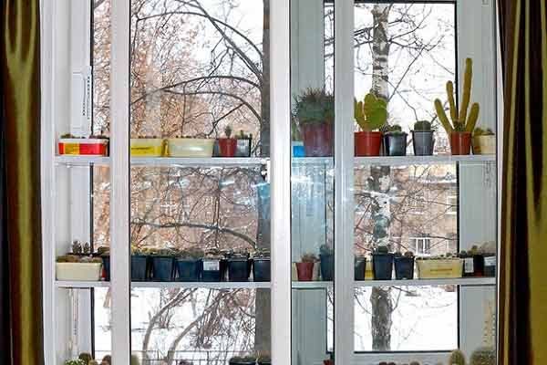 ������ ���� �� ���������: ��� ������� ��������� ������� ��� �������� ��������