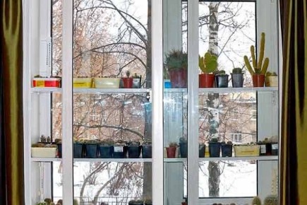 ������ ���� �� ���������: ��� ������� ��������� ������� ��� �������� ��������