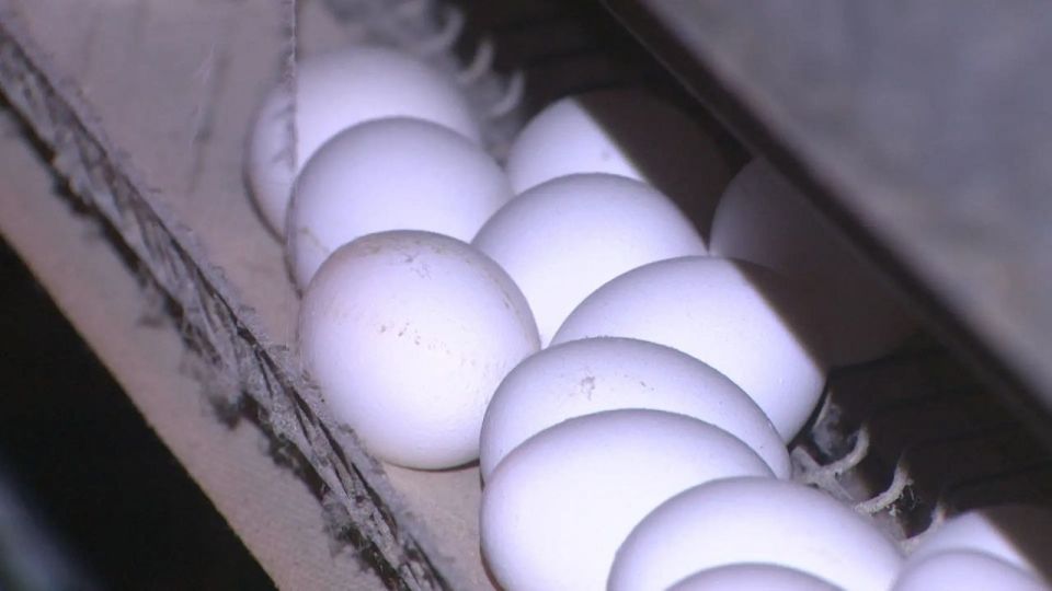 ���� ��� ������� �� 6,8% � ���������� ����� � ������������� ���������