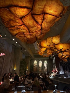 �������� ��������� ������������� ��������� � Phantom