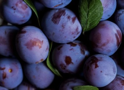 ����������� �����: ������ ����� ��� ������ ���� � 2025 ����