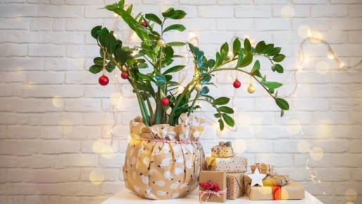 ��� ���������� ��������� �������� � ���������� �������