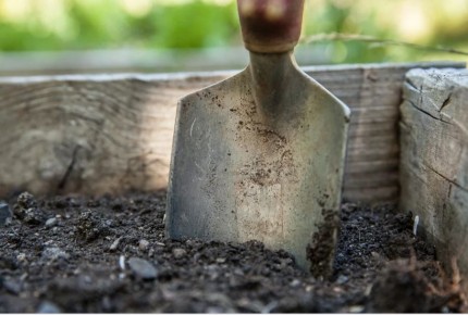 ����� ����� ����� �������: ��������� � ������� ������� ���������