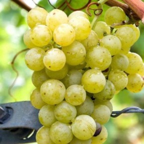 ����� ������: ������� ������� ��������� � ���������� ������