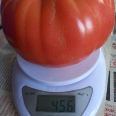 ����� ���� ����: ������������ ������� � ���������� �������������� �����