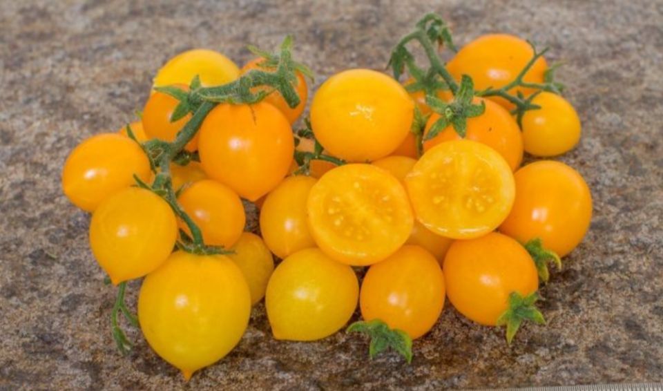 ����� �����: ��� ��������� ��������� ��� �� �����������