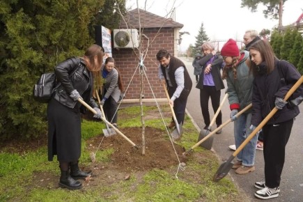 ������ ��� ���������� ������ �������� ��������� � ����������� �����