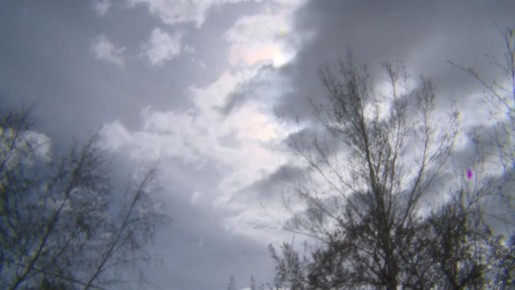 Гидрометцентр объявил о погодной опасности в Волгоградской области