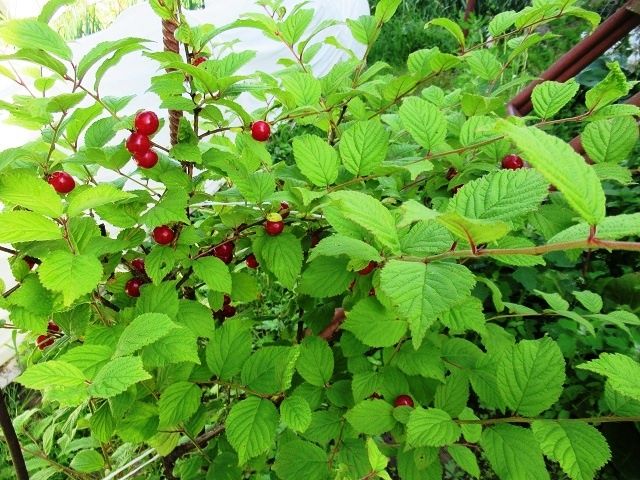 ����� ���������: ������� ����� � ������������ ��� �����������