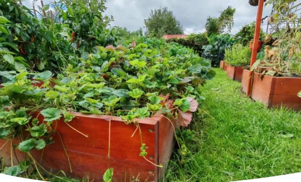 ������������ ���� �� ���������: ������� ��������� ������