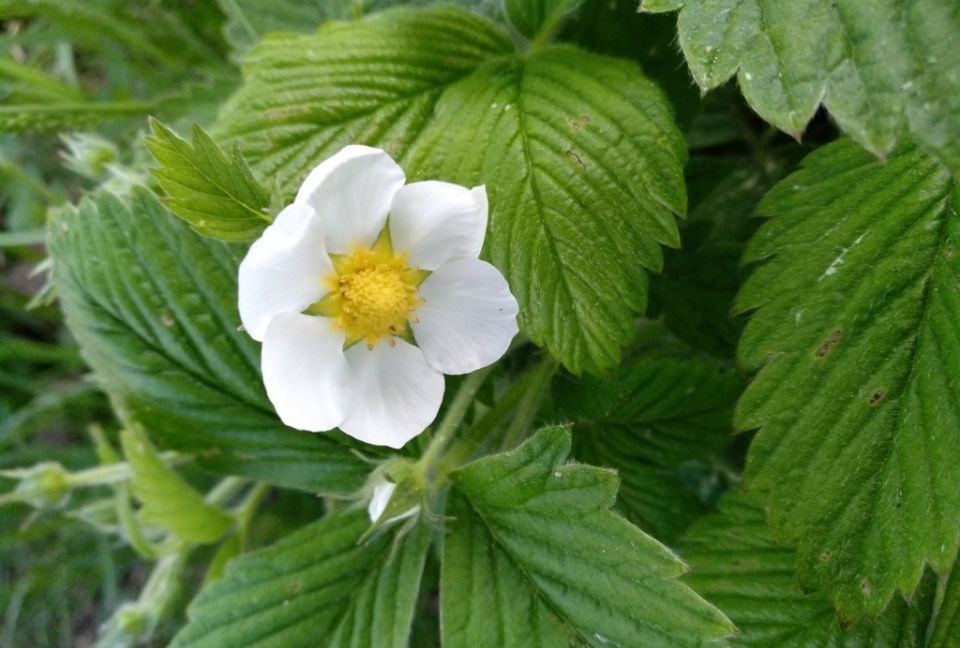 ��� � ����: ���� ������ �������� � ���� ������ ������