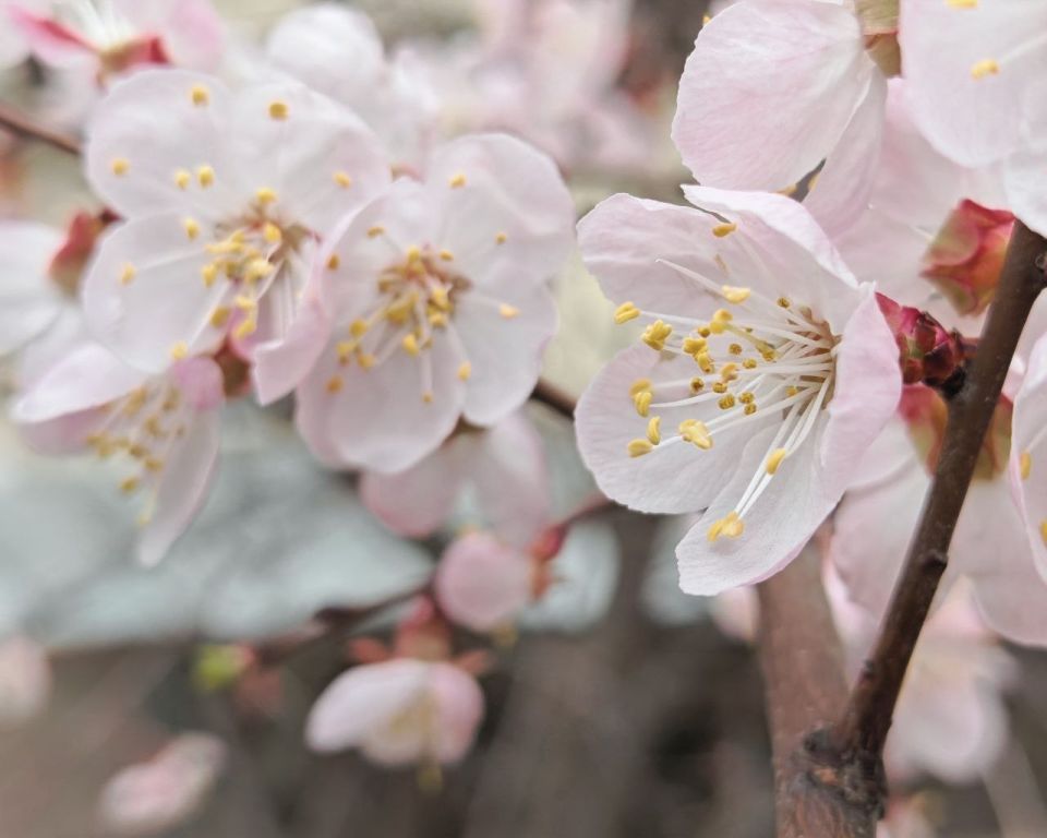 ������� ������������� �������, ������� ��� ��������� ������ �����, ����� ������������ � ��������� ����������