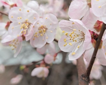 ������� ������������� �������, ������� ��� ��������� ������ �����, ����� ������������ � ��������� ����������