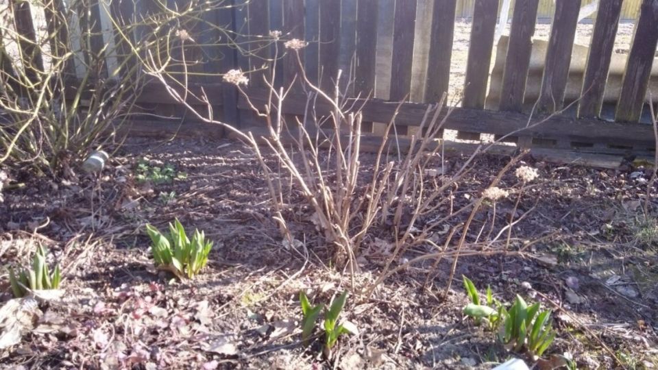 �������� ������� ����� �� ����������: ��� �������� �������� �� ��� ����