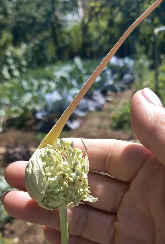 ��� ���� ������ �� ������ �������: ������ ���������