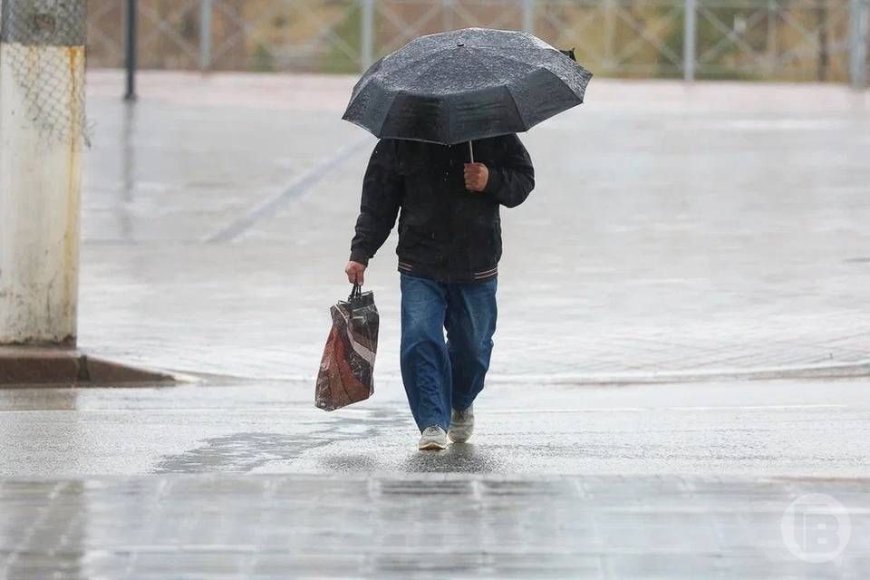 ������ 16 ����� ��� ����� � ����������