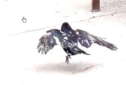 ���������� �������������� ������ ������������� ������� ����� �� ����� ��������� ����� - ������ ������ � ������ ��������