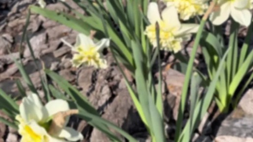 �������� �� ��������� ��������, � �������� � �����