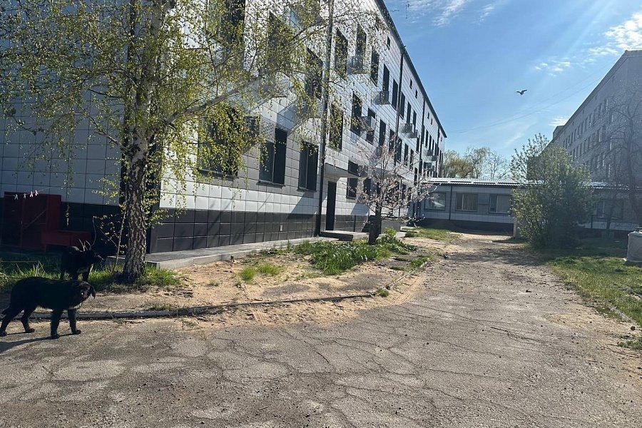 ��� ������ ���������� ������ ����� ����������� ������������� ������� �� ���������� ���� ���������-��������� ����������� �������� �������� � 2026 ����, �������� ������� ���������� � ��������� ��������� �������