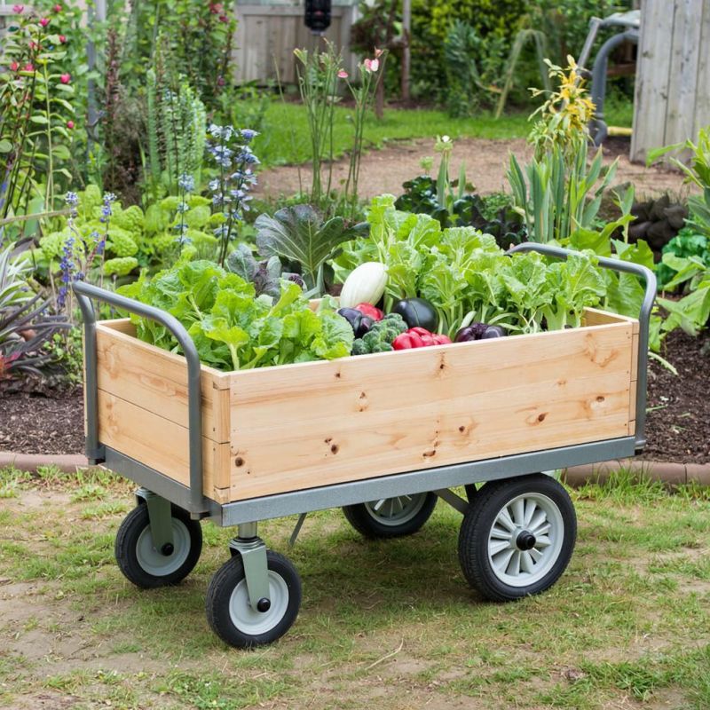 ������ ����� ������ �����: �������� ���������� ��������� ������