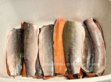 ��� ������� �����: ������ ������ ������� �� �����