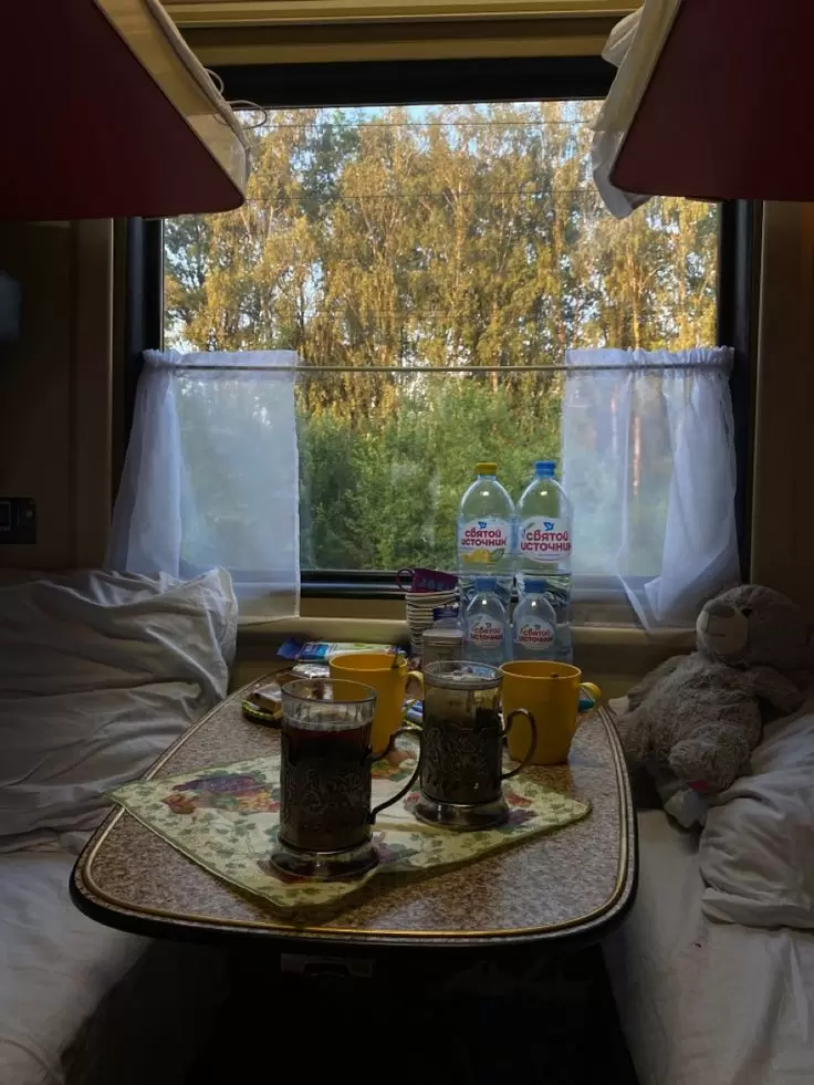 Как избежать неприятностей в дороге: чего не стоит есть в поезде и перед поездкой