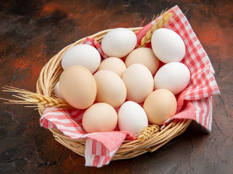 ������ ���������������� �� ������ � �������� ������� ���