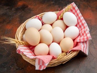 ������ ���������������� �� ������ � �������� ������� ���