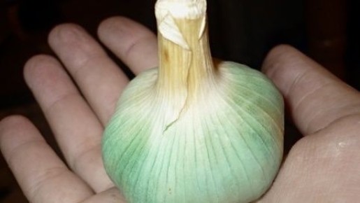 ������� ���������: ��� ���������� �������� � ������� �� ��������� ��� � ��� � ���� ������