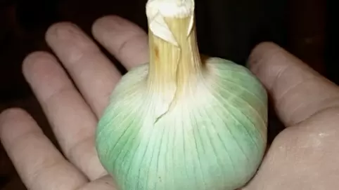 Сигналы организма: как распознать проблемы с печенью по состоянию ног и что с этим делать